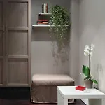 Regola Roma