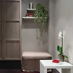 Regola